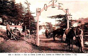 Blida-Chrea - Hotel des Cedres